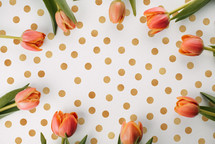 Tulips on a polka dotted background