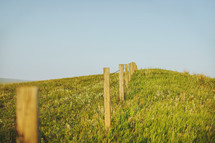 fence posts on a hill 