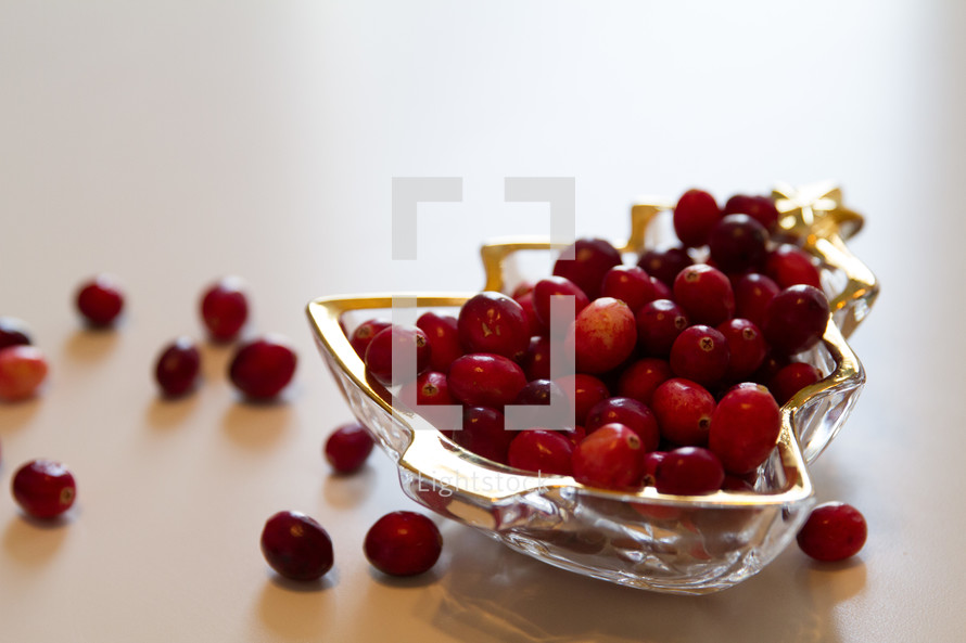 cranberries in a Christmas tree tray