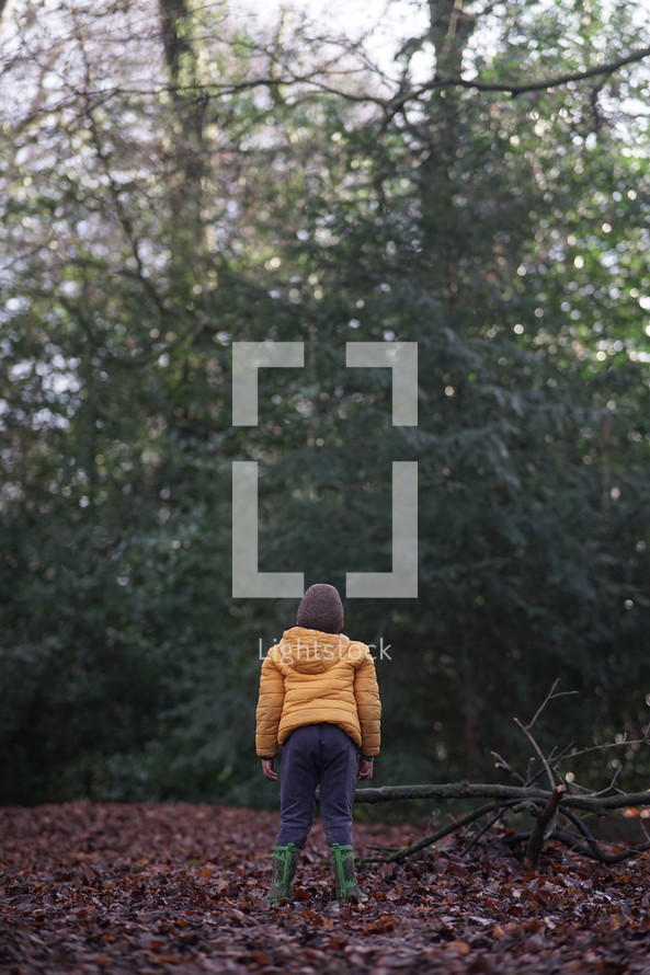 a boy standing in a forest 