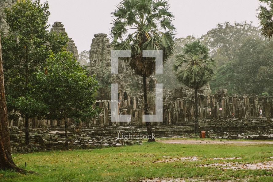 palm trees and temple ruins 