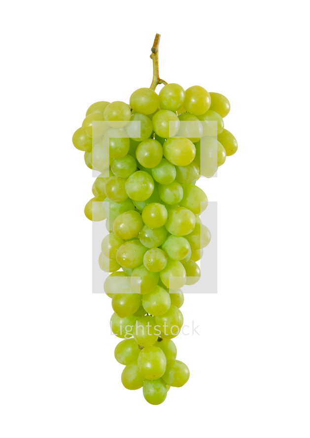 Bunch of green grapes.