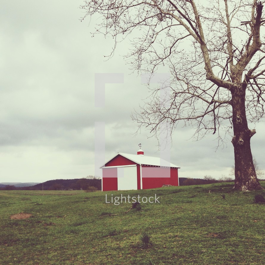 Tree by a red barn on a grassy hill.