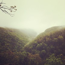 foggy valley