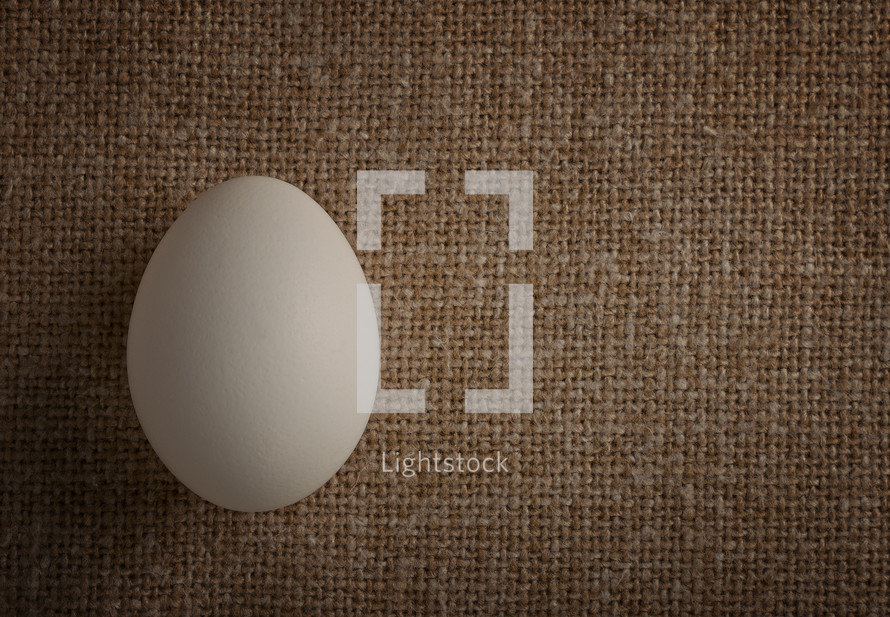 chicken white egg on a burlap background
