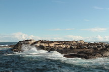 waves crashing into a rocky shore with sea lions basking in the sun 