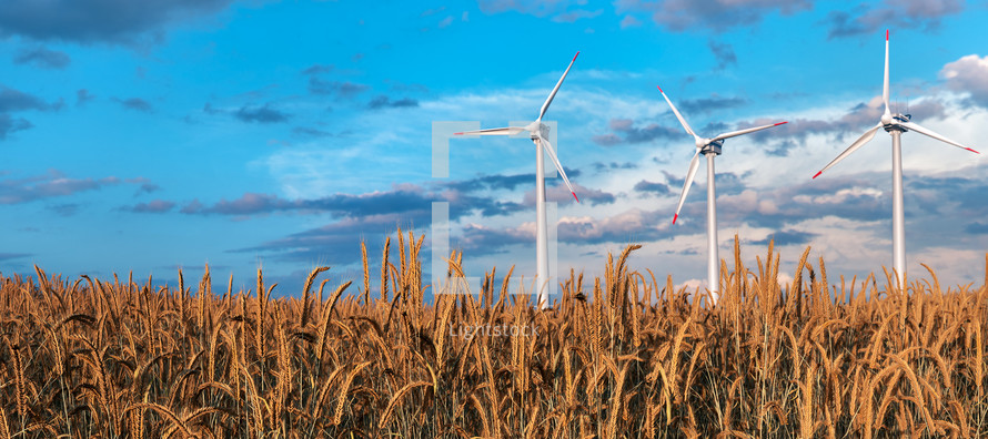 wind turbines in a field 