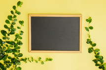 blank chalkboard and green leaves 