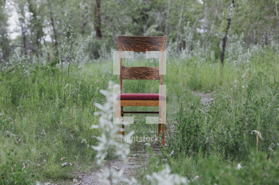 a chair on a trail through a field 