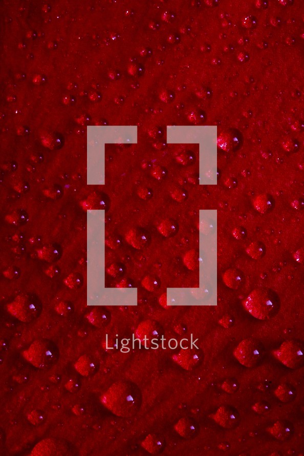 water droplets on red background 