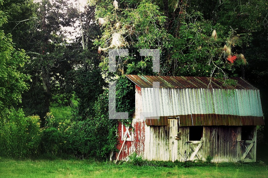 Dilapidated barn in the trees.