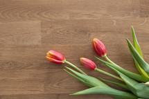Three pink tulips on a wood background