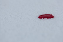 Pure, fresh white snow with drop of blood. Isaiah 1:8 