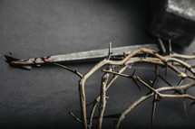 Crown of thorns, hammer, and blood covered nail.