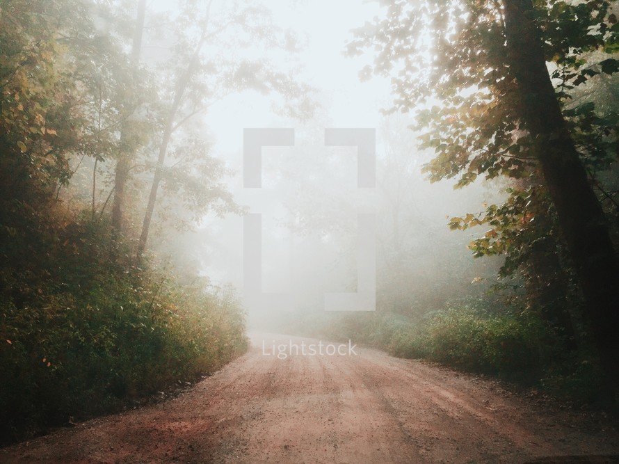 a rural dirt road on a foggy morning 