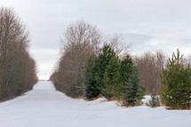 rural winter road with snow 