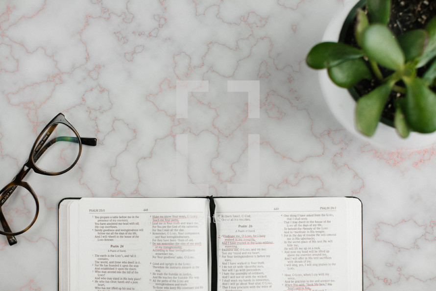 reading glasses, potted plant, and open Bible on a countertop 