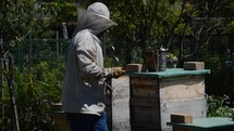 beekeeper working with bee hives 