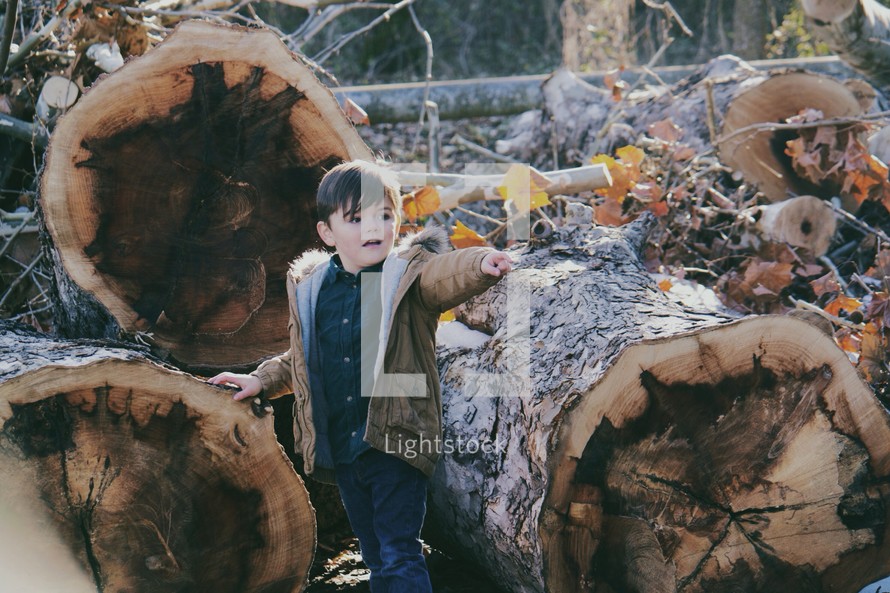 Boy child next to cut trees. 