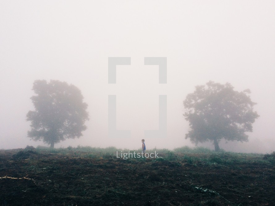 Boy walking through a foggy field with trees.
