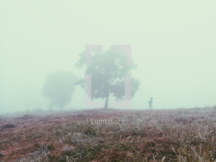 Silhouette of a boy walking through a foggy field with trees.