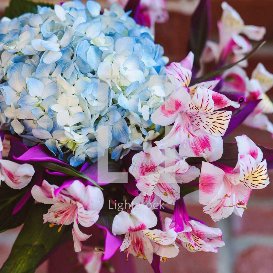 closeup of a bouquet of blue and pink flowers