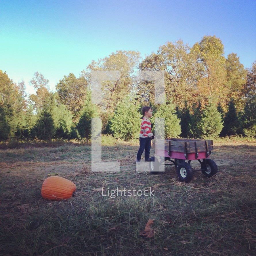 boy child pulling a wagon and a pumpkin