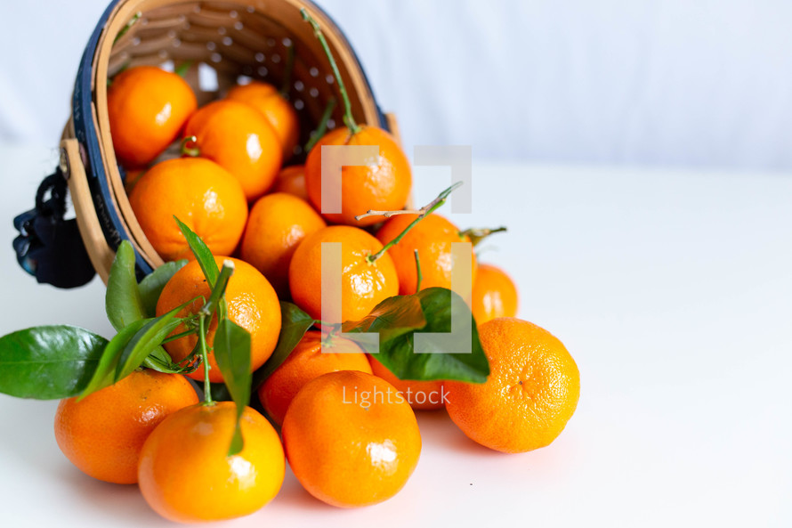 basket of oranges 
