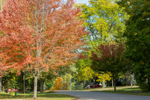 fall tees and neighborhood street