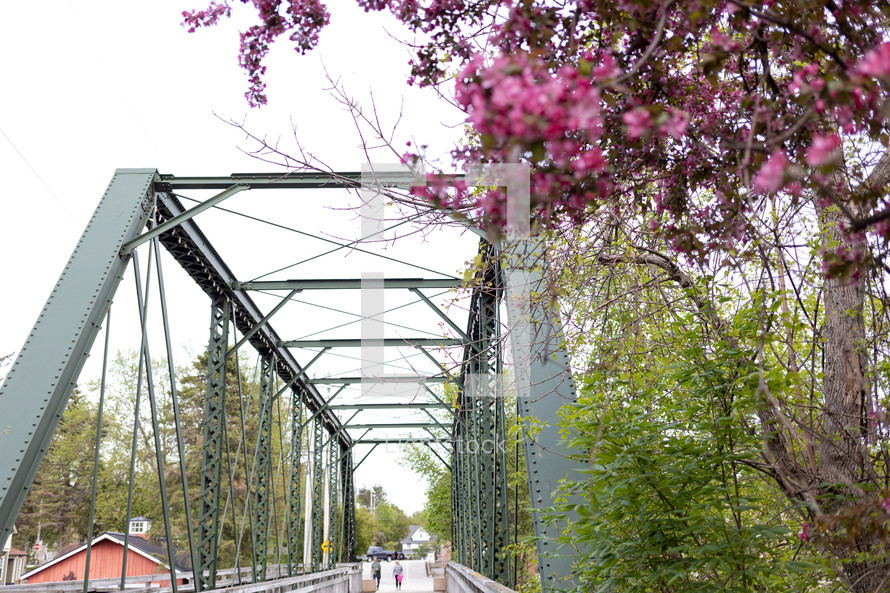 iron bridge with flowering tree in foreground