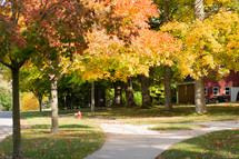 neighborhood sidewalks in fall 