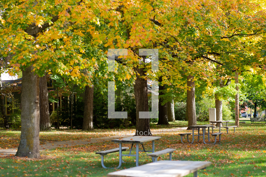 picnic tables in a park in fall 
