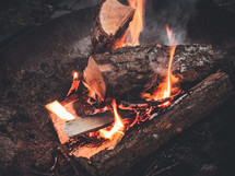 Logs of wood burning in a bonfire