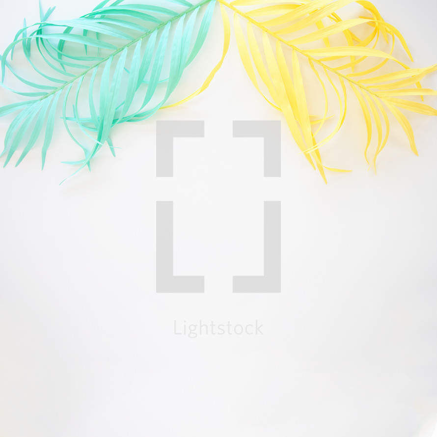 mint and yellow feathers on a white background 