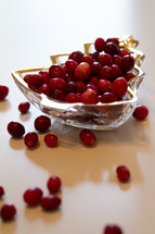 cranberries in a Christmas tree bowl 