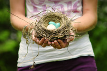 woman holding a birds nest full of eggs 