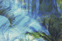 layered and textured compilation of palm branches, trees, and sky with texture and color added