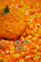 Gourd on a bed of Halloween candy.