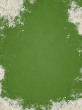 green grunge background 