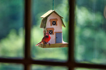 red cardinal bird on a bird feeder 