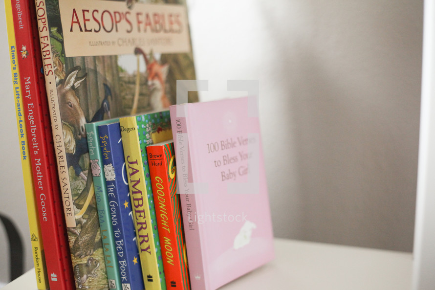 A library for a new princess. Bible verses to Bless your Baby Girl.