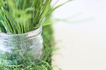 greenery in mason jar with copy space