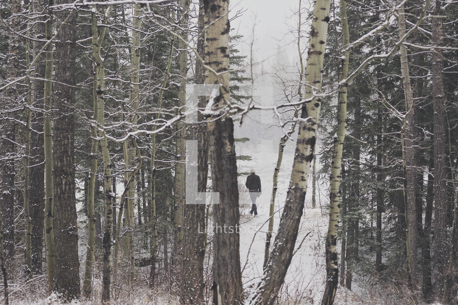 a lone man walks through the wintery forest