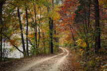 dirt road through a forest in autumn 