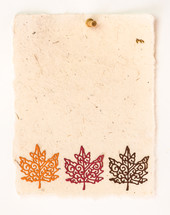 border of fall leaves on a blank piece of paper 