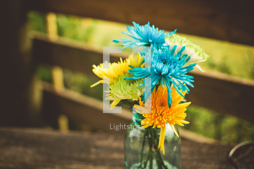 blue and yellow  flowers in a vase 