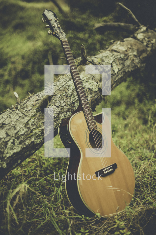 a guitar in a forest 