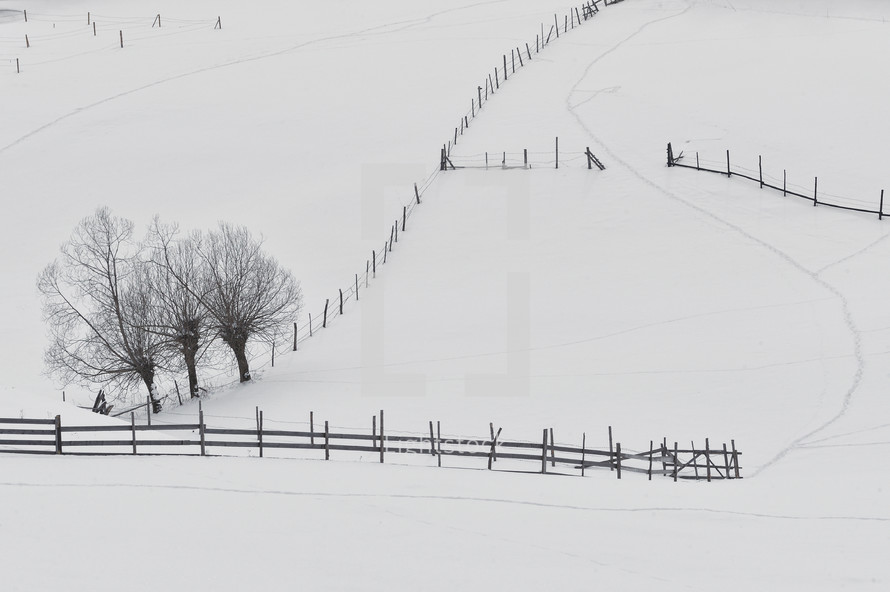Fences in the snow 