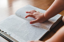 Little boy's hand touching an open Bible.