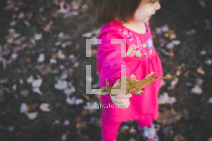a toddler girl holding a fall leaf 